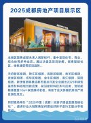 荣耀南洋”2025成都&东盟粉饰财产出海协同成长论
